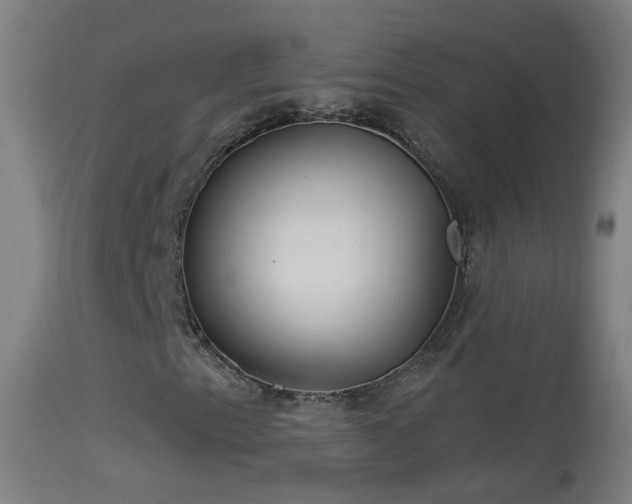 X0000114131153200910151538