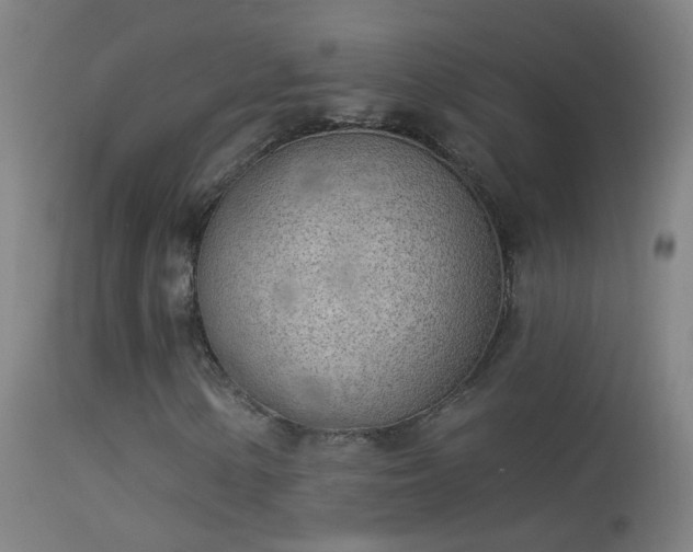 X0000114131154200910151538