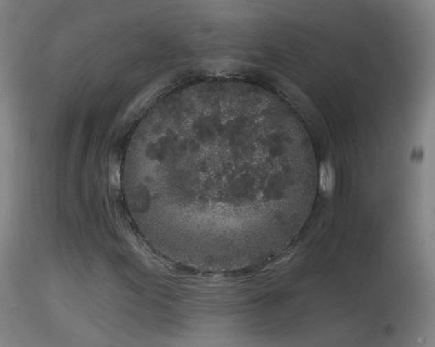 X0000114131155200910151538