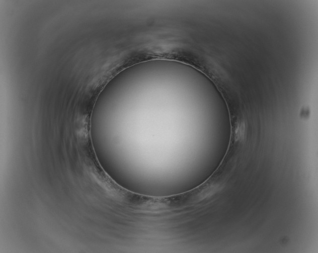 X0000114131156200910151538