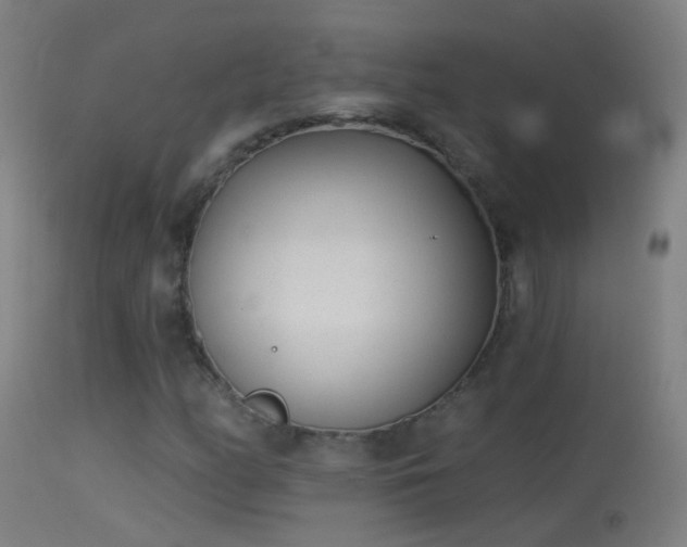 X0000114131158200910151538