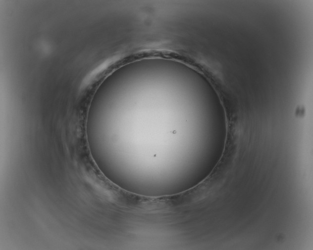 X0000114131159200910151538