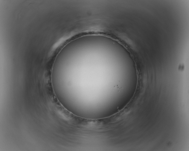 X0000114131160200910151538