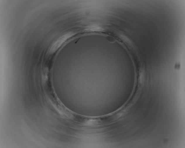 X0000114131161200910151538