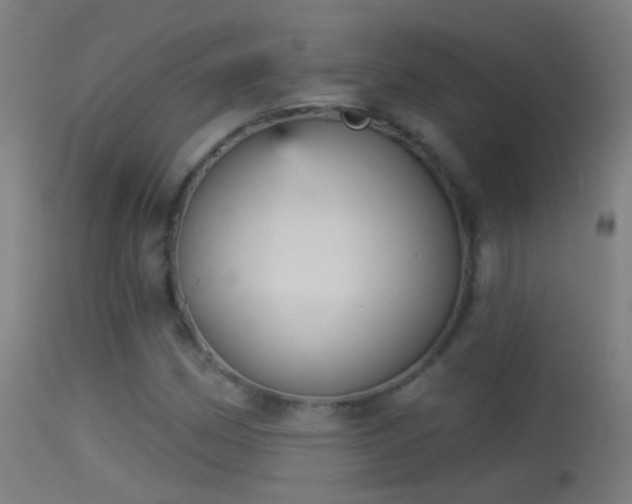 X0000114131162200910151538