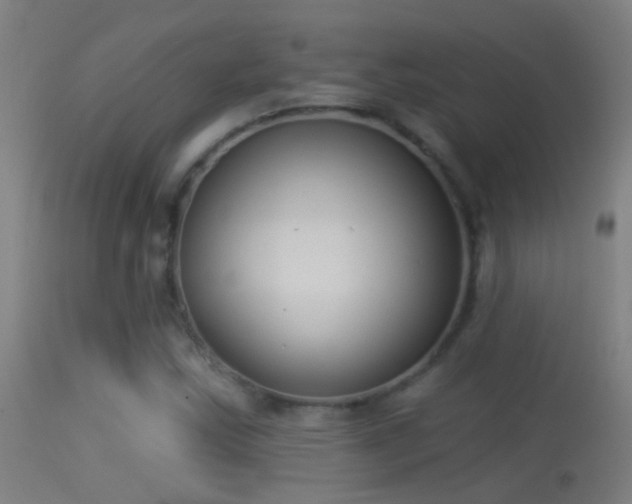 X0000114131163200910151538