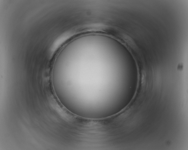 X0000114131164200910151538