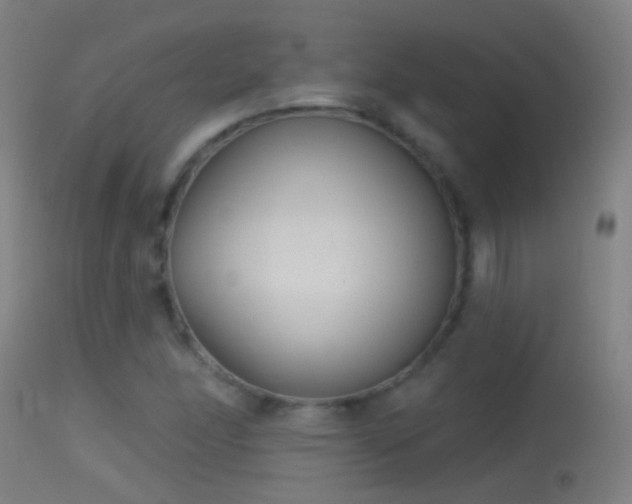 X0000114131166200910151538