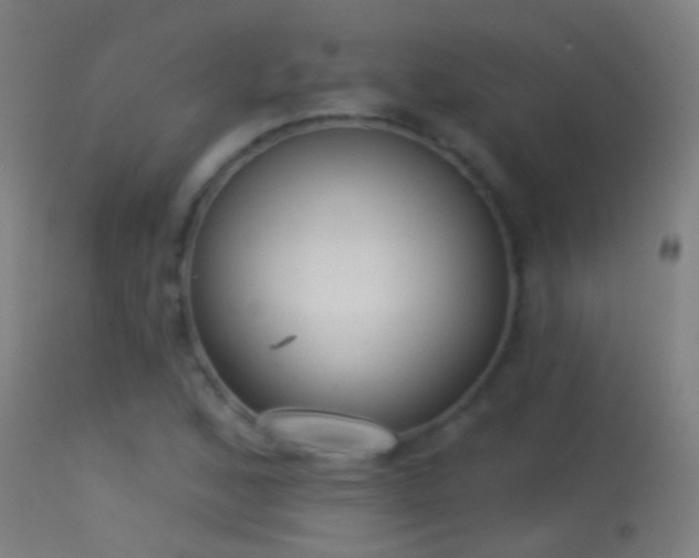 X0000114131168200910151538