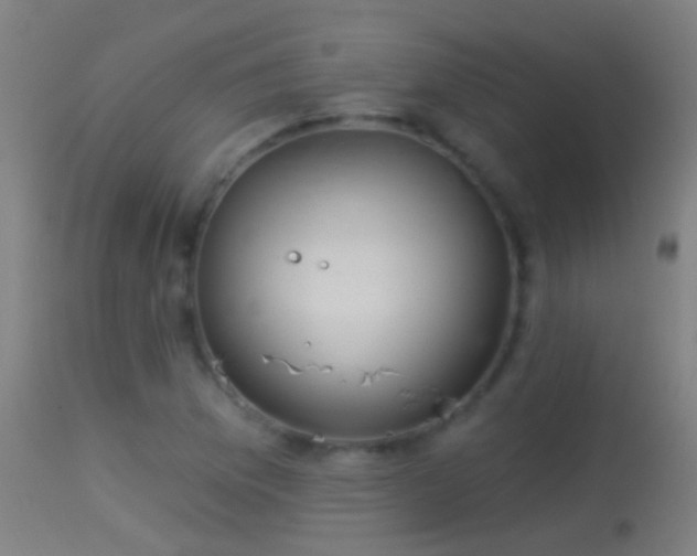 X0000114131169200910151538