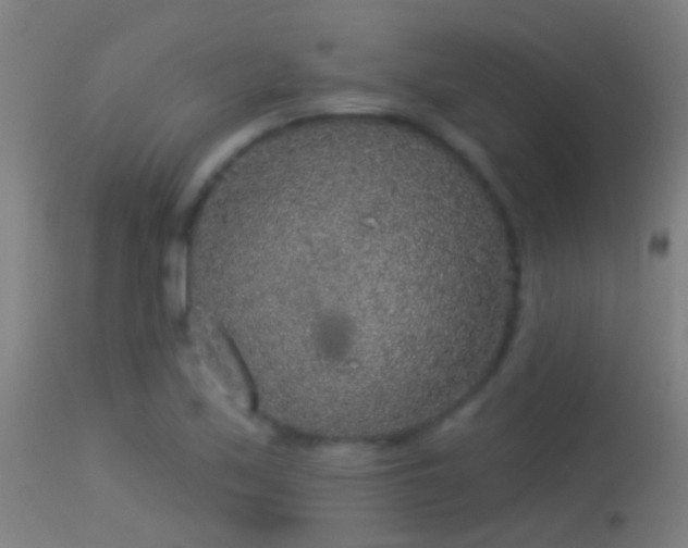 X0000114131171200910151538