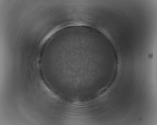 X0000114131173200910151538