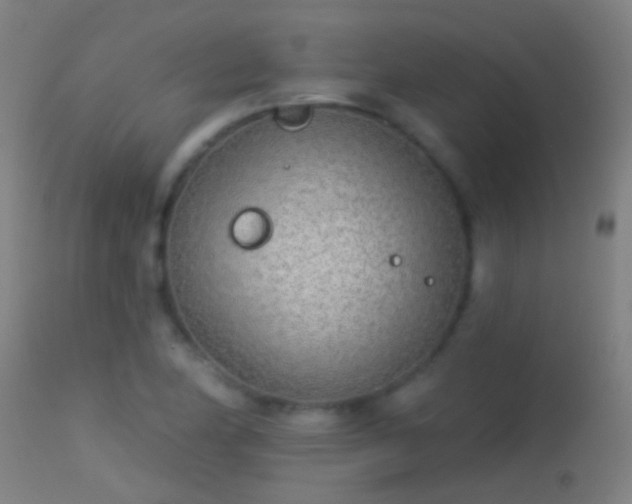 X0000114131174200910151538