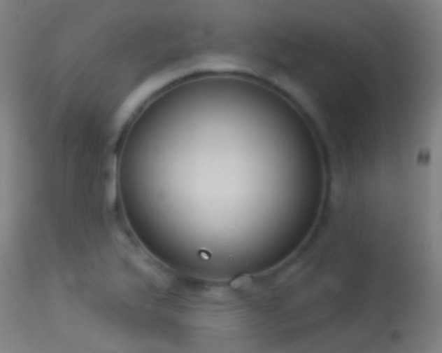 X0000114131175200910151538