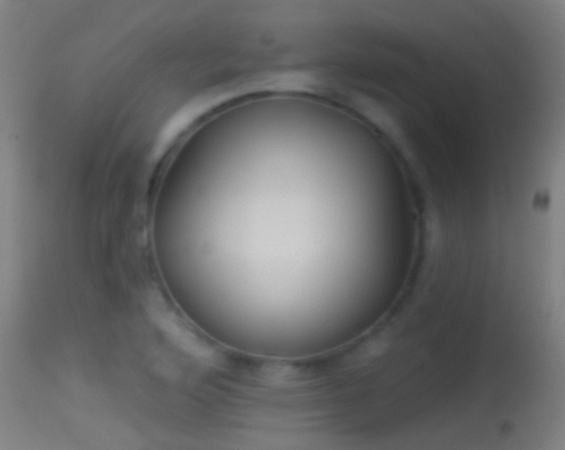 X0000114131176200910151538