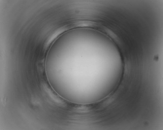 X0000114131178200910151538