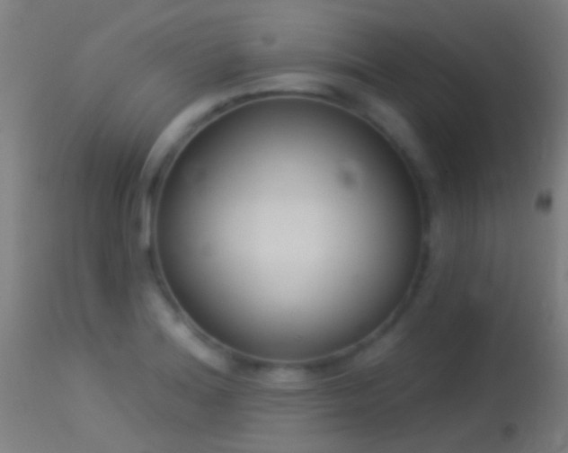 X0000114131180200910151538