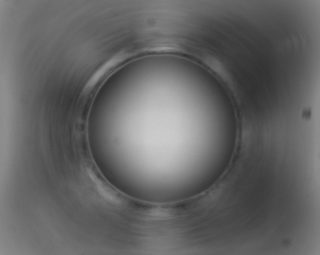 X0000114131181200910151538