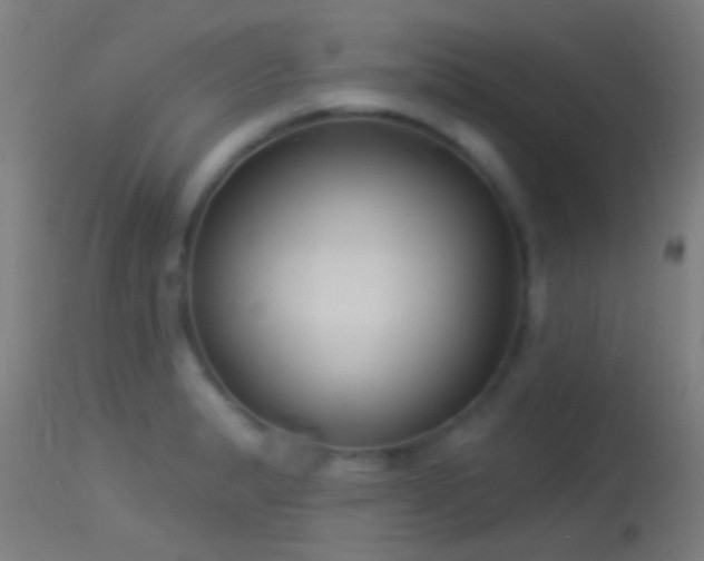 X0000114131183200910151538