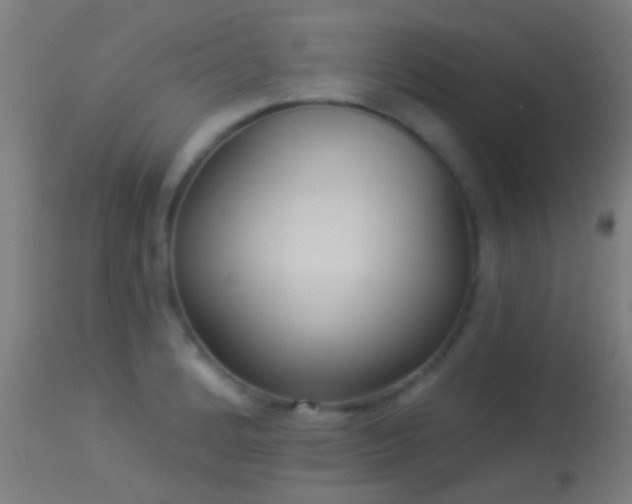 X0000114131184200910151538