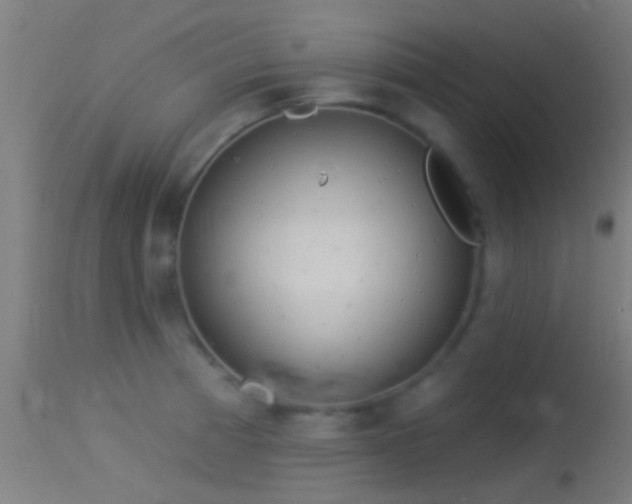 X0000114131185200910151538