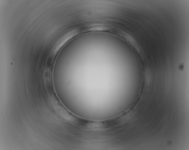 X0000114131186200910151538