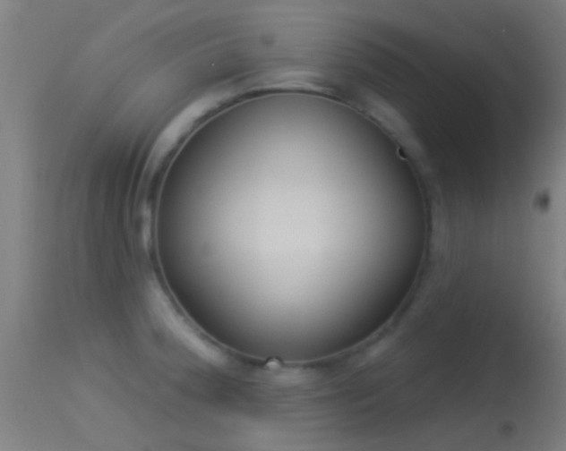 X0000114131188200910151538