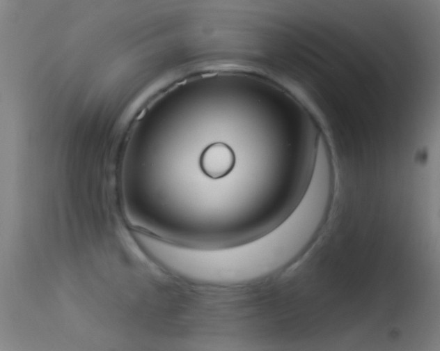 X0000114131189200910151538