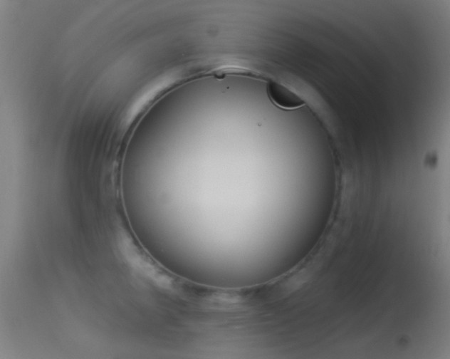 X0000114131190200910151538