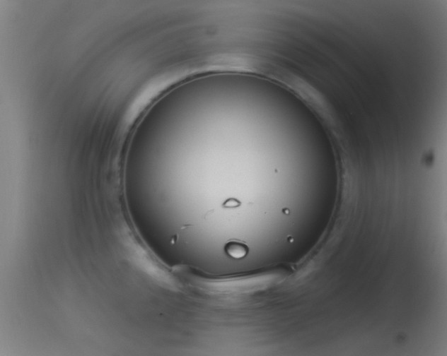 X0000114131192200910151537