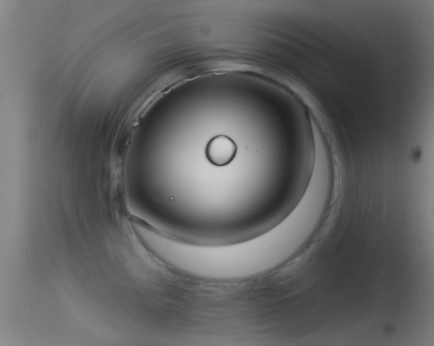 X0000114131193200910151537