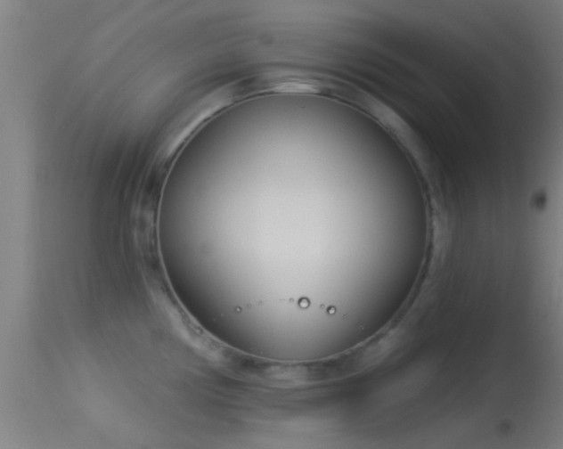 X0000114131194200910151537