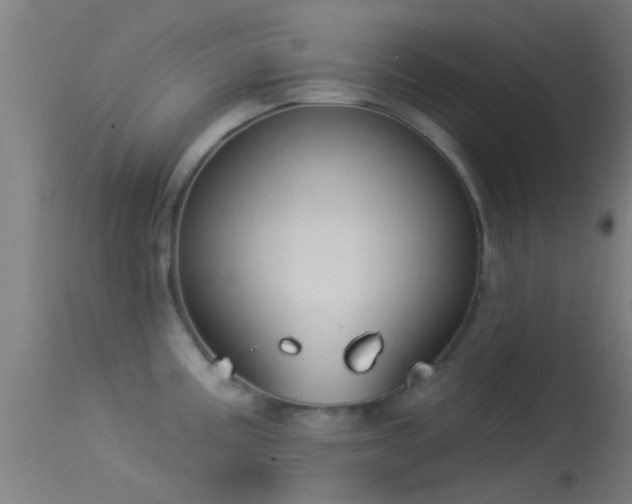 X0000114131195200910151537