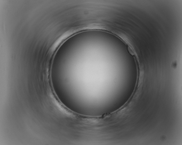 X0000114131197200910151537