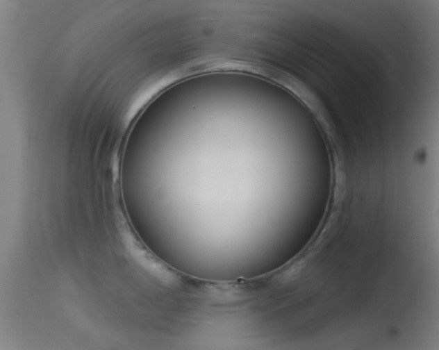 X0000114131198200910151537