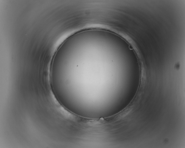 X0000114131199200910151537