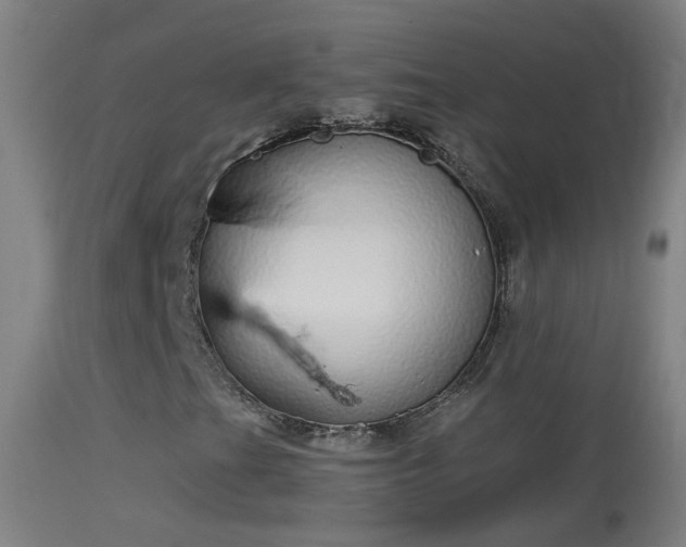 X0000114131201200910151537