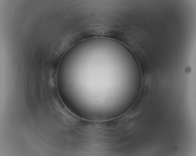 X0000114131202200910151537