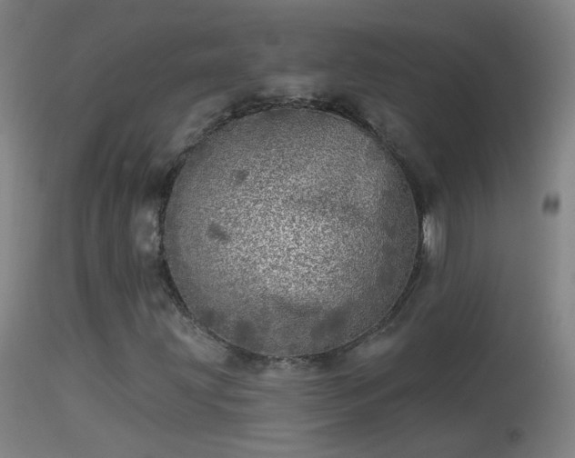 X0000114131203200910151537