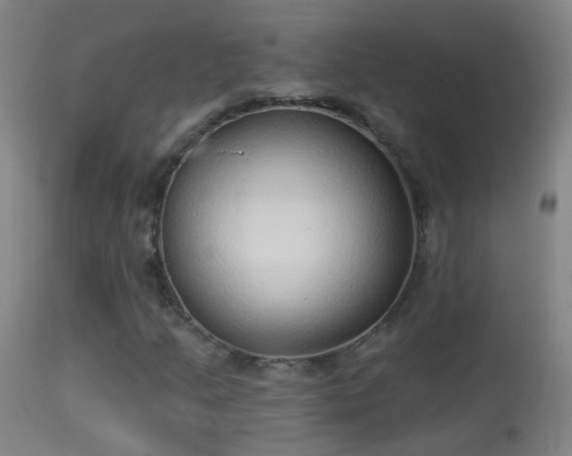 X0000114131205200910151537