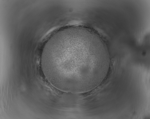 X0000114131206200910151537