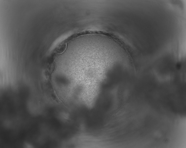 X0000114131207200910151537