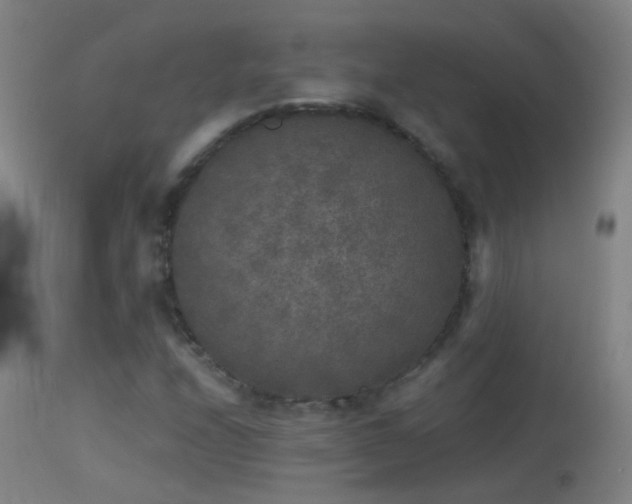 X0000114131208200910151537