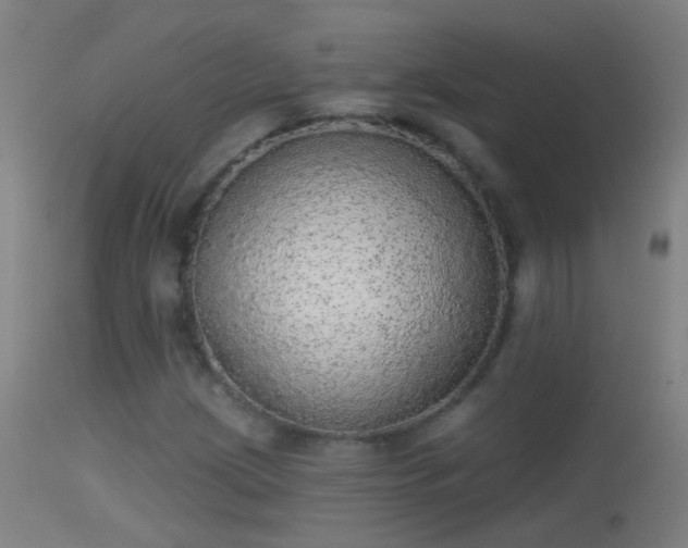 X0000114131209200910151537