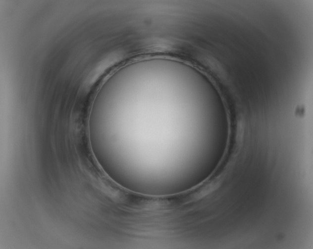 X0000114131210200910151537