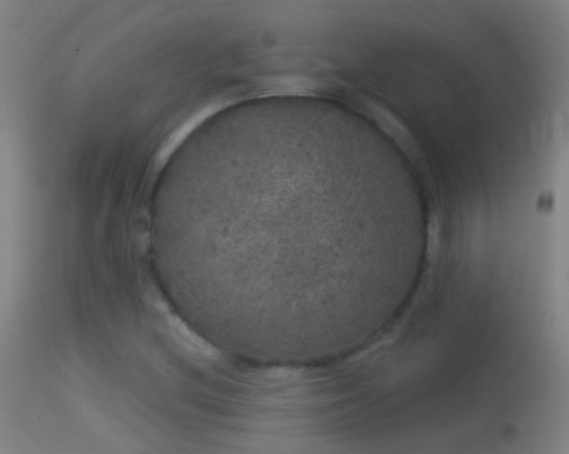 X0000114131212200910151537