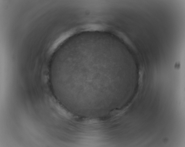 X0000114131213200910151537