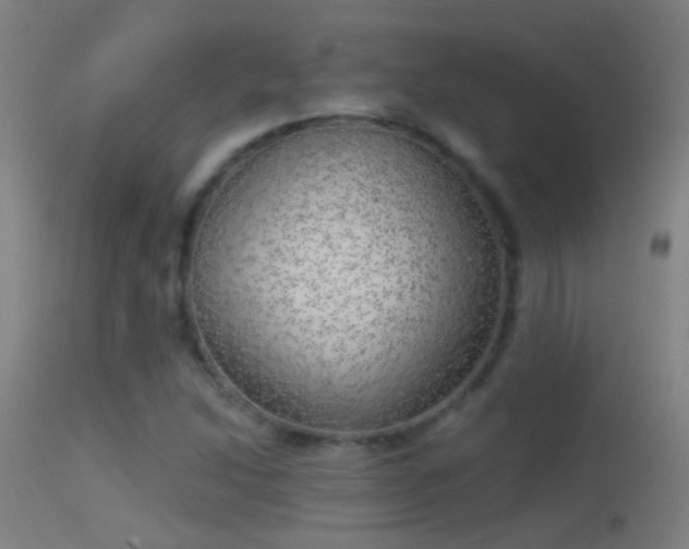 X0000114131214200910151537