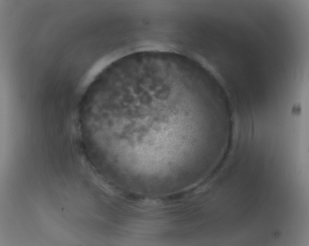 X0000114131215200910151537