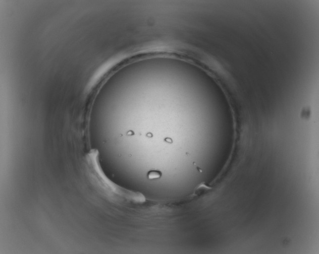 X0000114131216200910151537